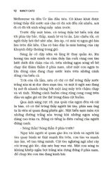 Tất Cả Các Dòng Sông Đều Chảy - Nancy cato