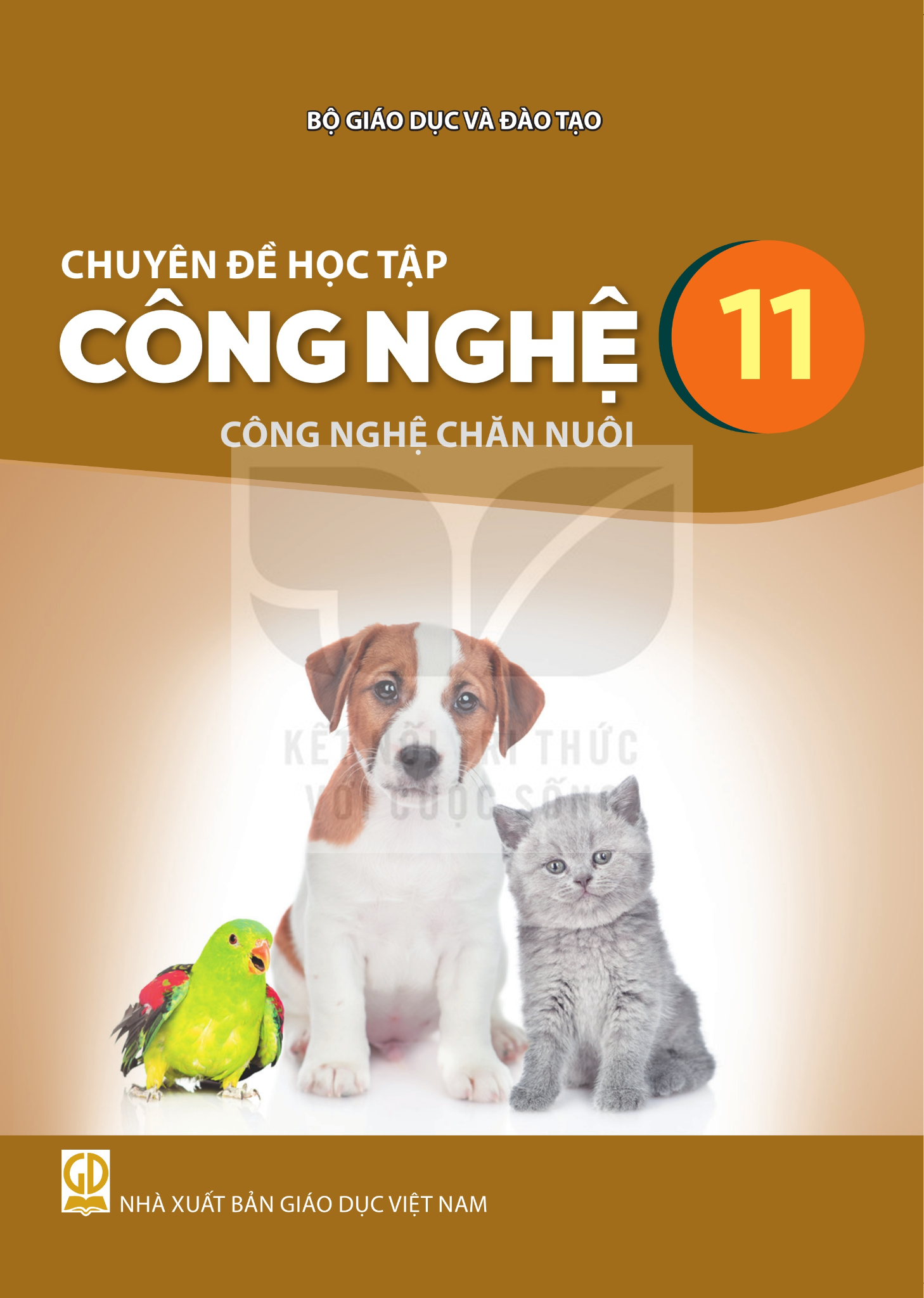 Sách Giáo Khoa Và Bài Tập Lớp 11 - Năm 2026-2027 - Kết Nối Tri Thức Với Cuộc Sống - NXBGD