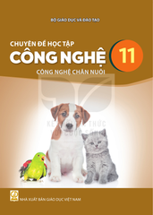 Sách Giáo Khoa Và Bài Tập Lớp 11 - Năm 2026-2027 - Kết Nối Tri Thức Với Cuộc Sống - NXBGD