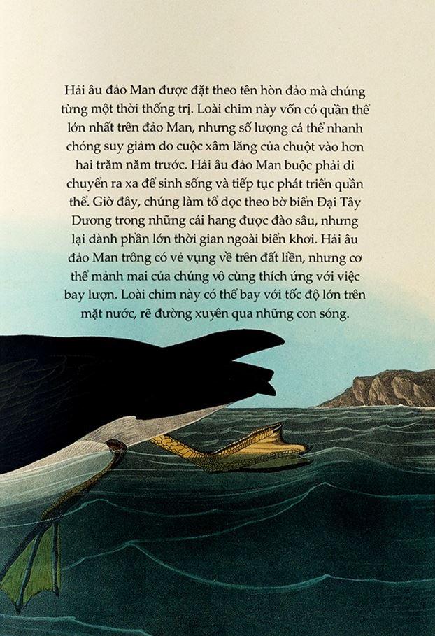 Combo 2 Cuốn Chuyện Kể Về Trăm Loài Chim + Sải Cánh Như Những Chú Chim