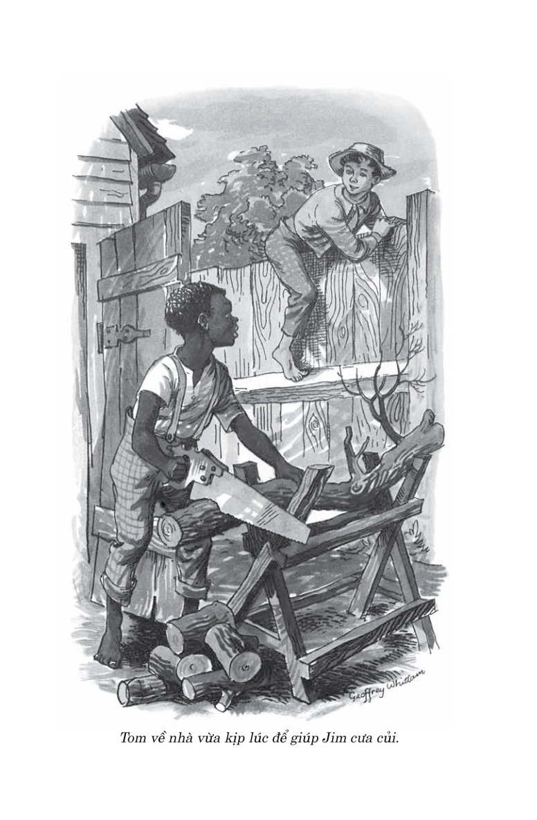 Văn Học Cổ Điển - Những Cuộc Phiêu Lưu Của Tom Sawyer - Mark Twain