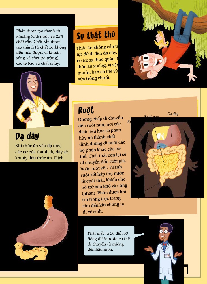 Khoa Học Diệu Kì: Phân Và Xì Hơi - Sự Bốc Mùi Về Hệ Tiêu Hóa - Nhiều Tác Giả