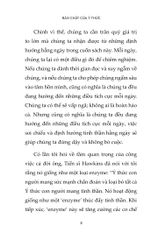Bản Chất Của Ý Thức - David R. Hawkins