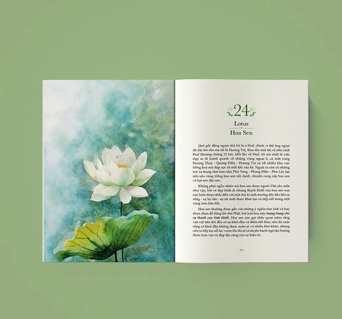 Quyền Năng Của Hoa - Lời Thầm Thì Cảm Xúc Từ Thiên Nhiên - Lily Of The Valley, Huyền Anh (hajazana)