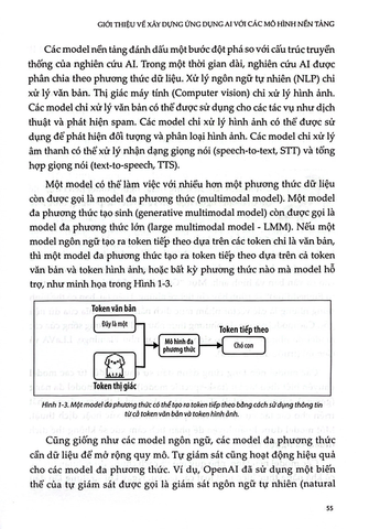  Kỹ Thuật AI - Xây Dựng Ứng Dụng Với Mô Hình Nền Tảng - Chip Huyen 