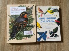Combo 2 Cuốn Chuyện Kể Về Trăm Loài Chim + Sải Cánh Như Những Chú Chim