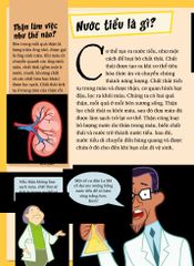 Khoa Học Diệu Kì: Phân Và Xì Hơi - Sự Bốc Mùi Về Hệ Tiêu Hóa - Nhiều Tác Giả