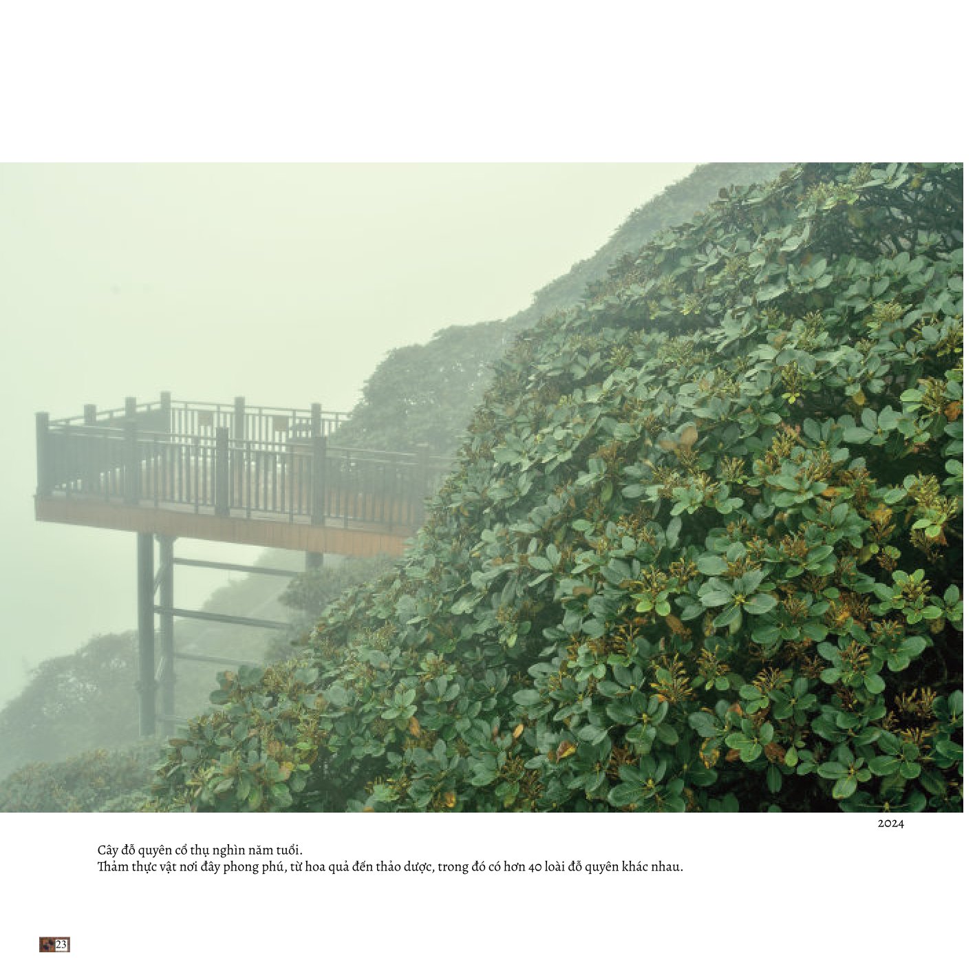 Trên Đỉnh Đổi Thay (Sách Ảnh Song Ngữ Anh Việt Về Sapa ) - Mountains Of Change - Bạch Nam Hải (Danny Bạch)