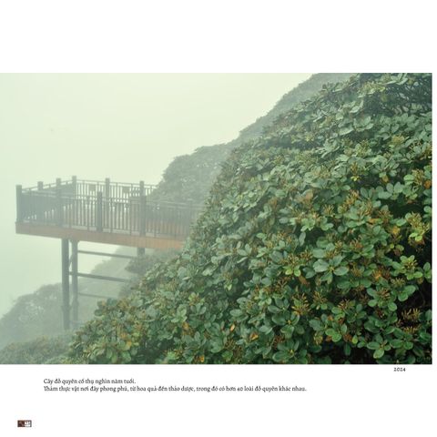  Trên Đỉnh Đổi Thay - Mountains Of Change - Bạch Nam Hải (Danny Bạch) 