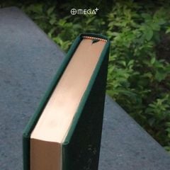 Tầm Nhìn Của Đức Đạt Lai Lạt Ma Về Thế Giới - Bản Đặc Biệt Bìa Da - Daniel Goleman