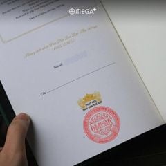 Tầm Nhìn Của Đức Đạt Lai Lạt Ma Về Thế Giới - Bản Đặc Biệt Bìa Da - Daniel Goleman