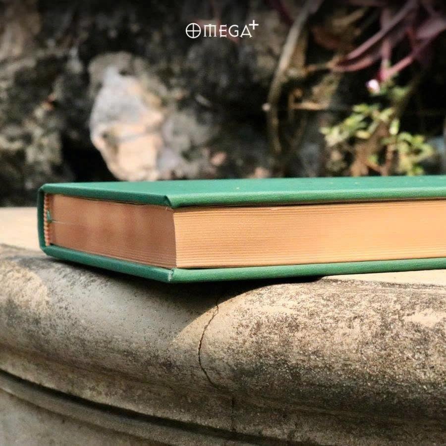 Tầm Nhìn Của Đức Đạt Lai Lạt Ma Về Thế Giới - Bản Đặc Biệt Bìa Da - Daniel Goleman