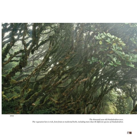  Trên Đỉnh Đổi Thay - Mountains Of Change - Bạch Nam Hải (Danny Bạch) 