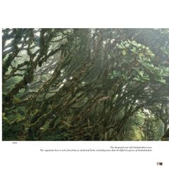 Trên Đỉnh Đổi Thay (Sách Ảnh Song Ngữ Anh Việt Về Sapa ) - Mountains Of Change - Bạch Nam Hải (Danny Bạch)