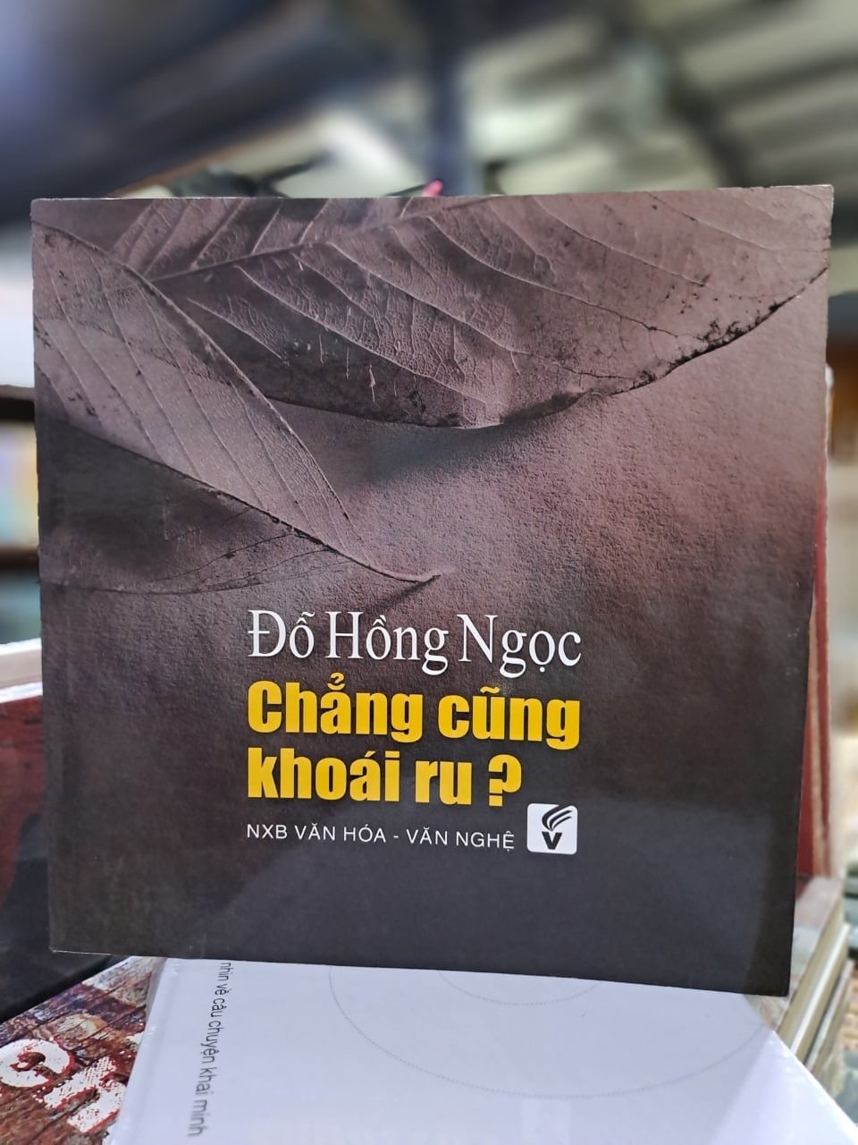 Chẳng Cũng Khoái Ru - BS. Đỗ Hồng Ngọc