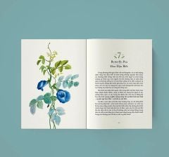 Quyền Năng Của Hoa - Lời Thầm Thì Cảm Xúc Từ Thiên Nhiên - Lily Of The Valley, Huyền Anh (hajazana)