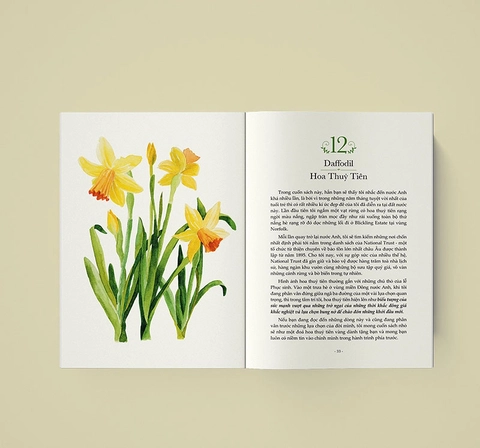 Quyền Năng Của Hoa - Lời Thầm Thì Cảm Xúc Từ Thiên Nhiên - Lily Of The Valley, Huyền Anh (hajazana)