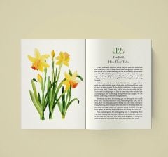 Quyền Năng Của Hoa - Lời Thầm Thì Cảm Xúc Từ Thiên Nhiên - Lily Of The Valley, Huyền Anh (hajazana)