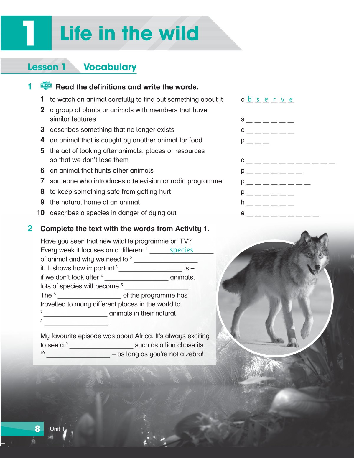 Combo 6 Quyển Sách Bài tập Academy Stars  Workbook ( Từ Tập 1 - Tập 6 )