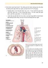Chấn Đoán Hình Ảnh Lồng Ngực - PGS.TS. Vũ Đăng Lưu, PGS.TS. Đoàn Tiến Lưu
