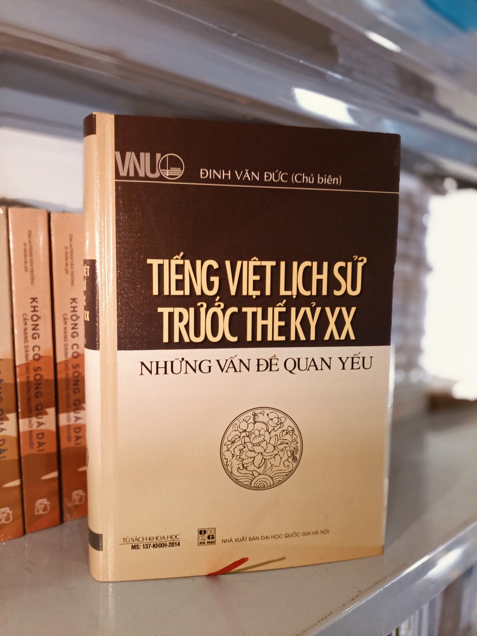 Tiếng Việt Lịch Sử Trước Thế Kỷ XX - Những Vấn Đề Quan Yếu - Đinh Văn Đức
