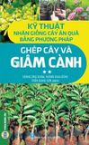  Combo 2 Cuốn Kỹ Thuật Nhân Giống Cây Ăn Quả Bằng Phương Pháp Ghép Cây Và Giâm Cành ( Tập 1 + 2 ) 