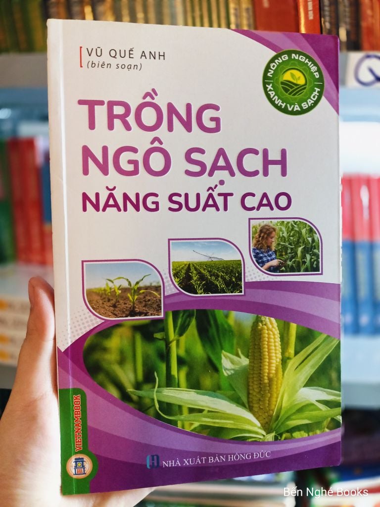 Sách Nông Nghiệp Xanh Và Sạch - Trồng Ngô Sạch Năng Suất Cao - Vũ Quế Anh