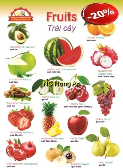 Học Tiếng Anh Qua Hình Ảnh - Trái Cây (Tranh Rời 53X78Cm) - Nguyễn Công Sơn
