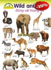 Học Tiếng Anh Qua Hình Ảnh - Động Vật Hoang Dã (Tranh Rời 53X78Cm) - Nguyễn Công Sơn