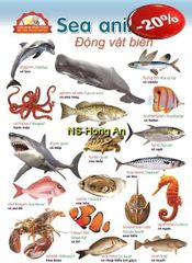 Học Tiếng Anh Qua Hình Ảnh - Động Vật Biển (Tranh Rời 53X78Cm) - Nguyễn Công Sơn