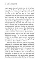 Người Phụ Nữ Lừa Cả Thế Giới - 
Beau Donelly, Nick Toscano