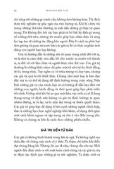 Nghĩ Như Một Tu Sĩ - Xua Tan Tiêu Cực, Chữa Lành Lo Âu - Jay Shetty