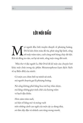 Combo 4 Quyển: Thay Đổi Bản Thân Để Bứt Phá (Người Thành Công Làm Gì Vào Buổi Sáng + Phượng Hoàng Tái Sinh + Kỷ Luật Tự Thân + Nếu Không Tiến Về Phía Trước Mọi Con Đường Đều Là Xuống Dốc) - Nhiều Tác Giả