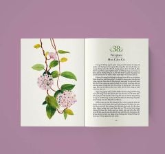Quyền Năng Của Hoa - Lời Thầm Thì Cảm Xúc Từ Thiên Nhiên - Lily Of The Valley, Huyền Anh (hajazana)