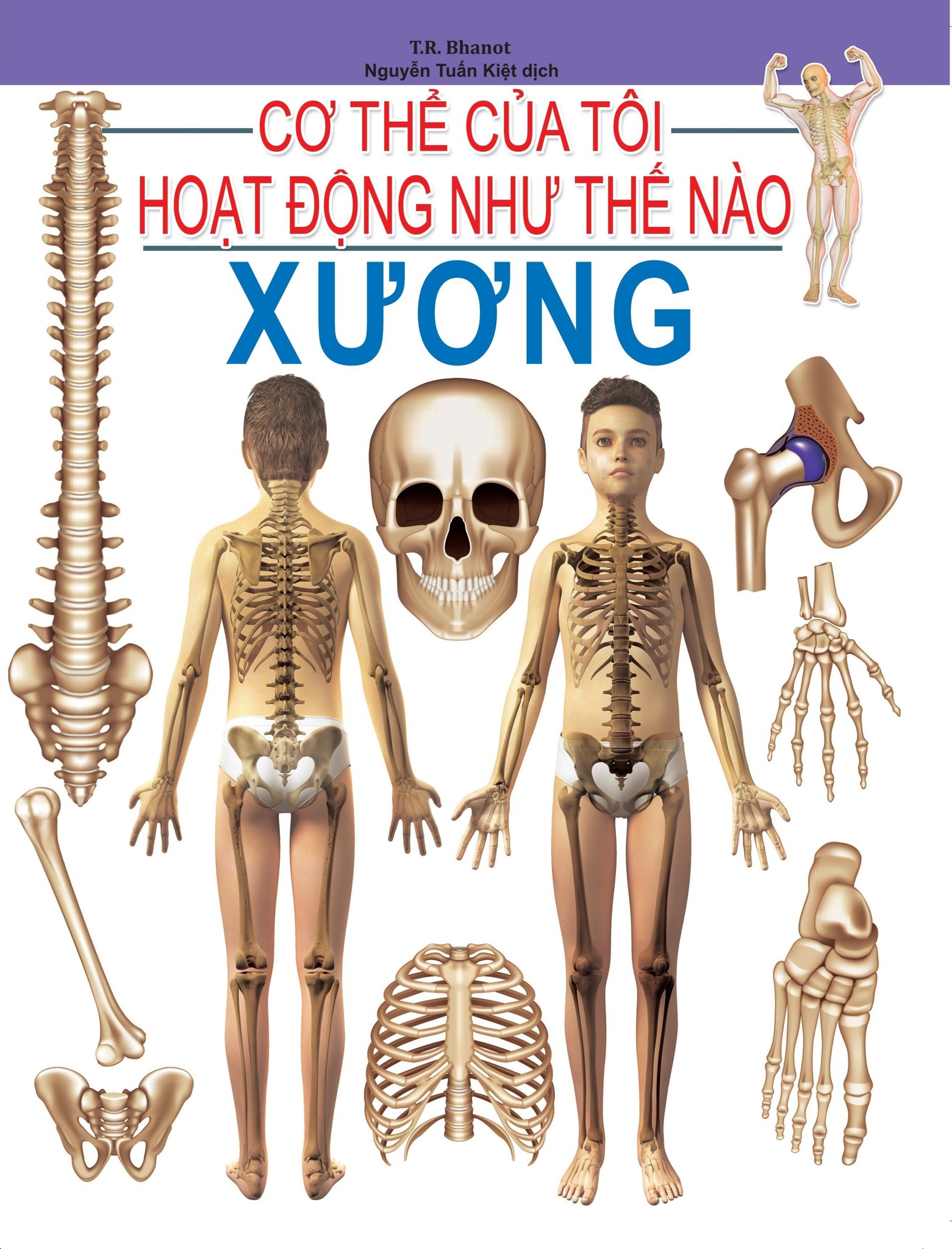 Cơ Thể Của Tôi Hoạt Động Như Thế Nào Xương - T.R.Bhanot