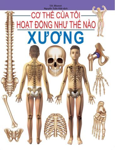  Combo 16 Cuốn Cơ Thể Của Tôi Hoạt Động Như Thế Nào ? 