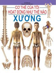 Combo 16 Cuốn Cơ Thể Của Tôi Hoạt Động Như Thế Nào ?