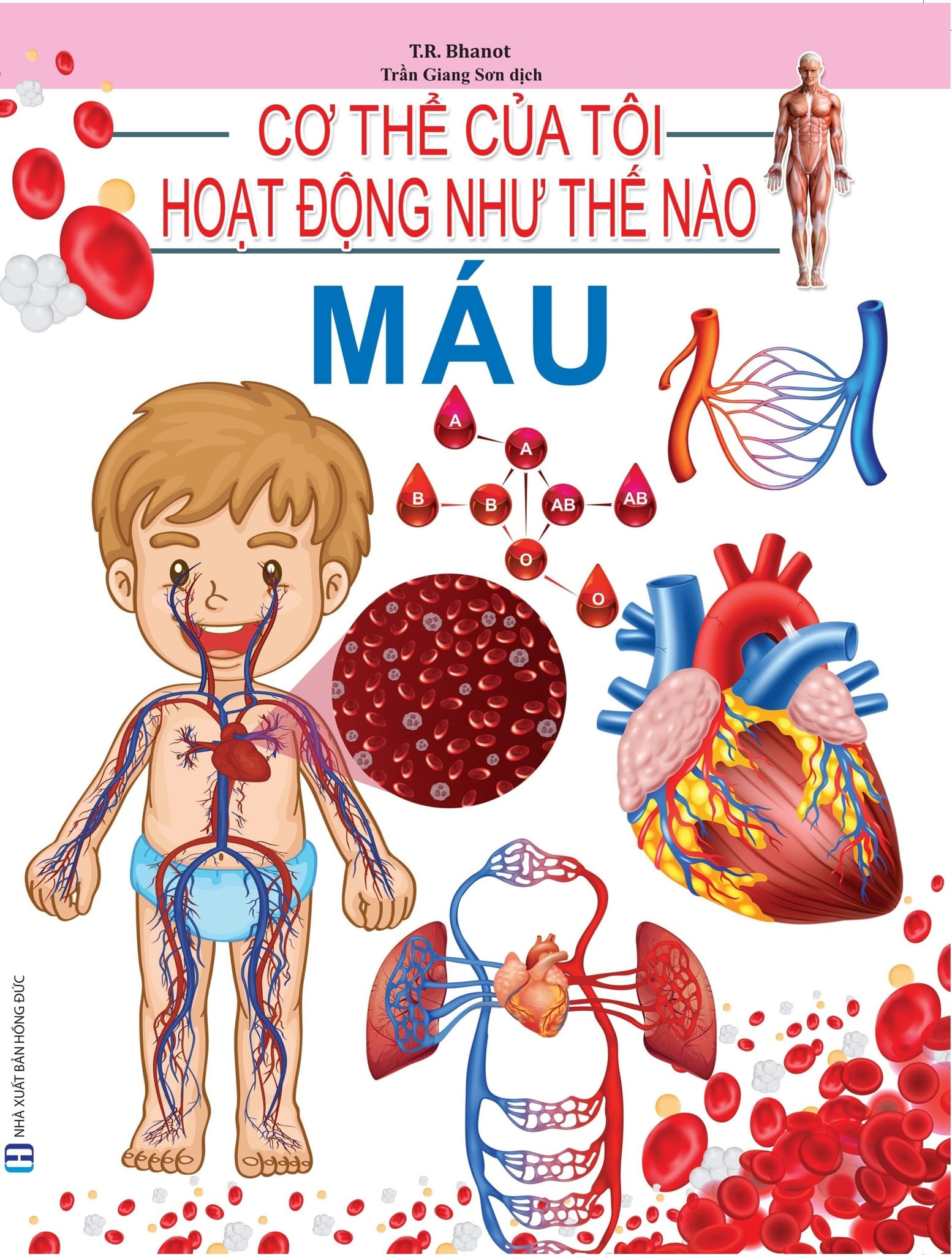 Cơ Thể Của Tôi Hoạt Động Như Thế Nào Máu - T.R.Bhanot