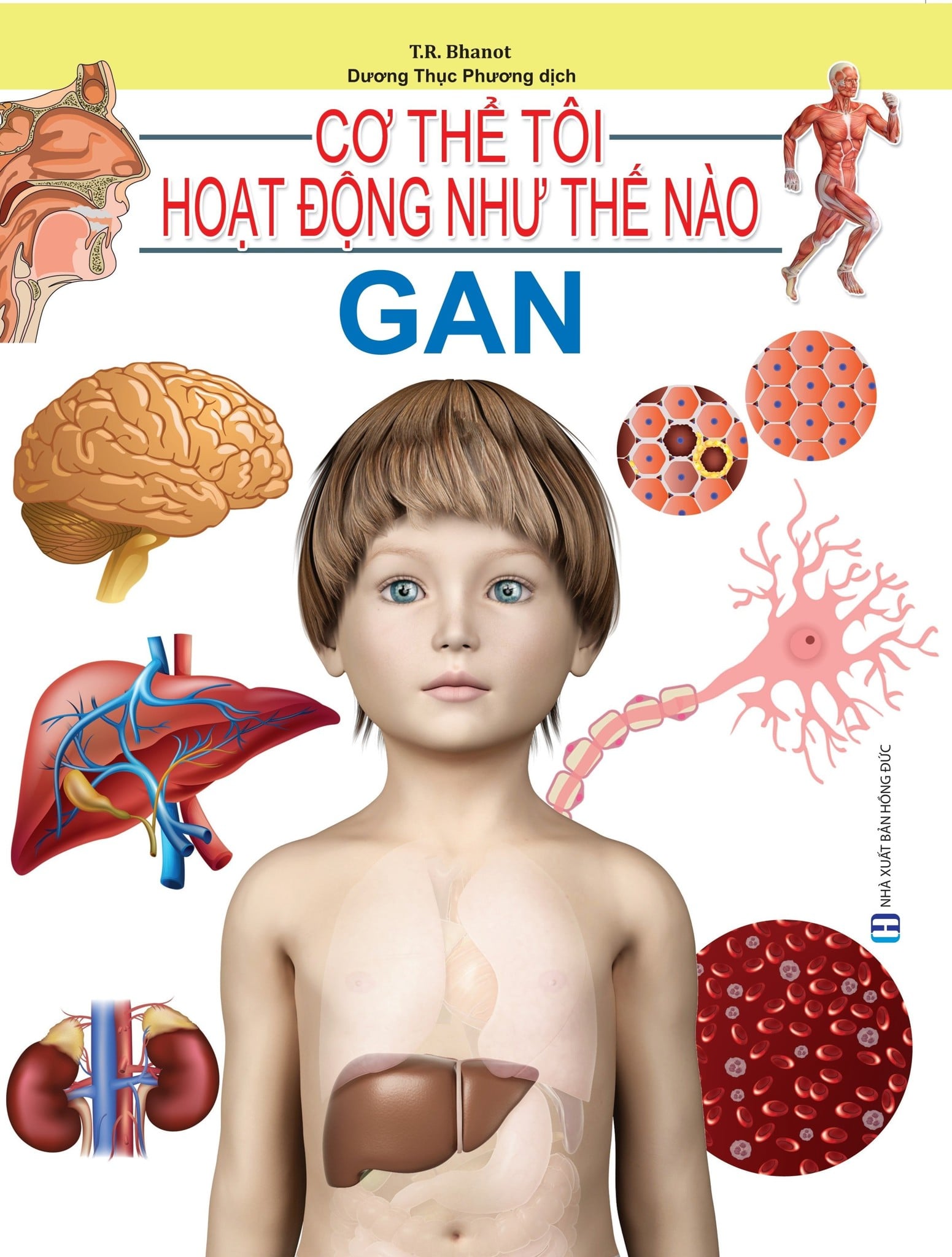 Cơ Thể Của Tôi Hoạt Động Như Thế Nào- Gan - T.R.Bhanot