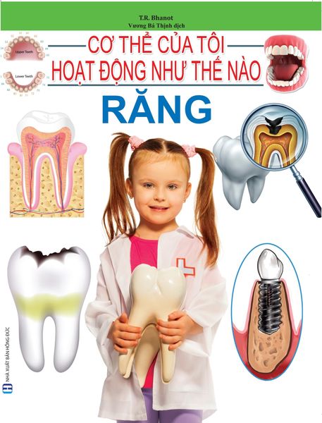  Cơ Thể Của Tôi Hoạt Động Như Thế Nào Răng - T.R.Bhanot 
