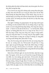 Lược Sử Sự Sống - Bản Trường Ca Của 4,6 Tỉ Năm - 
Henry Gee