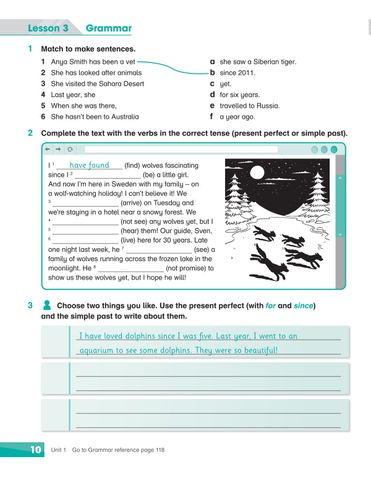  Combo 6 Quyển Sách Bài tập Academy Stars  Workbook ( Từ Tập 1 - Tập 6 ) 