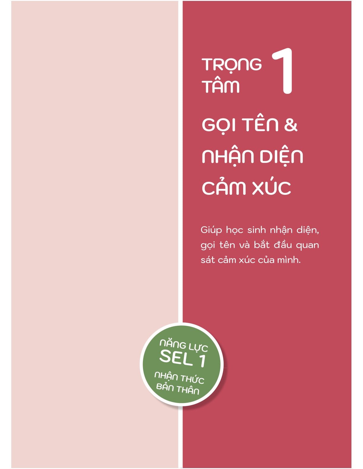 50+ Hoạt Động Phát Triển Năng Lực Cảm Xúc - Xã Hội - Đinh Hồng, Mỹ Hạnh