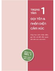 50+ Hoạt Động Phát Triển Năng Lực Cảm Xúc - Xã Hội - Đinh Hồng, Mỹ Hạnh