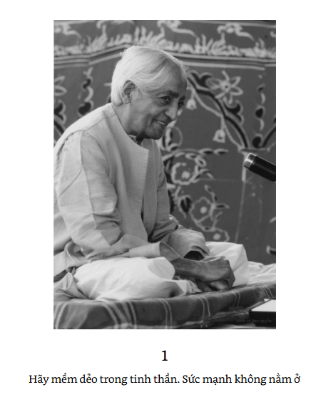 Hạnh Phúc Tuổi Trẻ - J. Krishnamurti