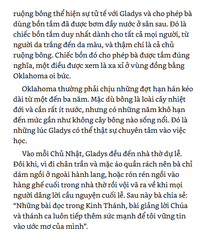 Combo 2 Quyển: Mẹ Teresa Trên Cả Tình Yêu + Phúc Cho Ai Không Thấy Mà Tin