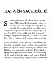 Combo 4 Quyển: Ajahn Brahm (Buông Bỏ Buồn Buông + Mở Cửa Trái Tim + Tâm Từ + Hạnh Phúc Đến Từ Sự Biến Mất)
