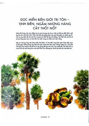 Combo 2 Quyển Việt Nam Dọc Miền Du Ký (Tập 1 + 2) - Lê Rin