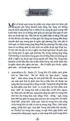 Bàn Về Sinh Tử - Andrew Holececk