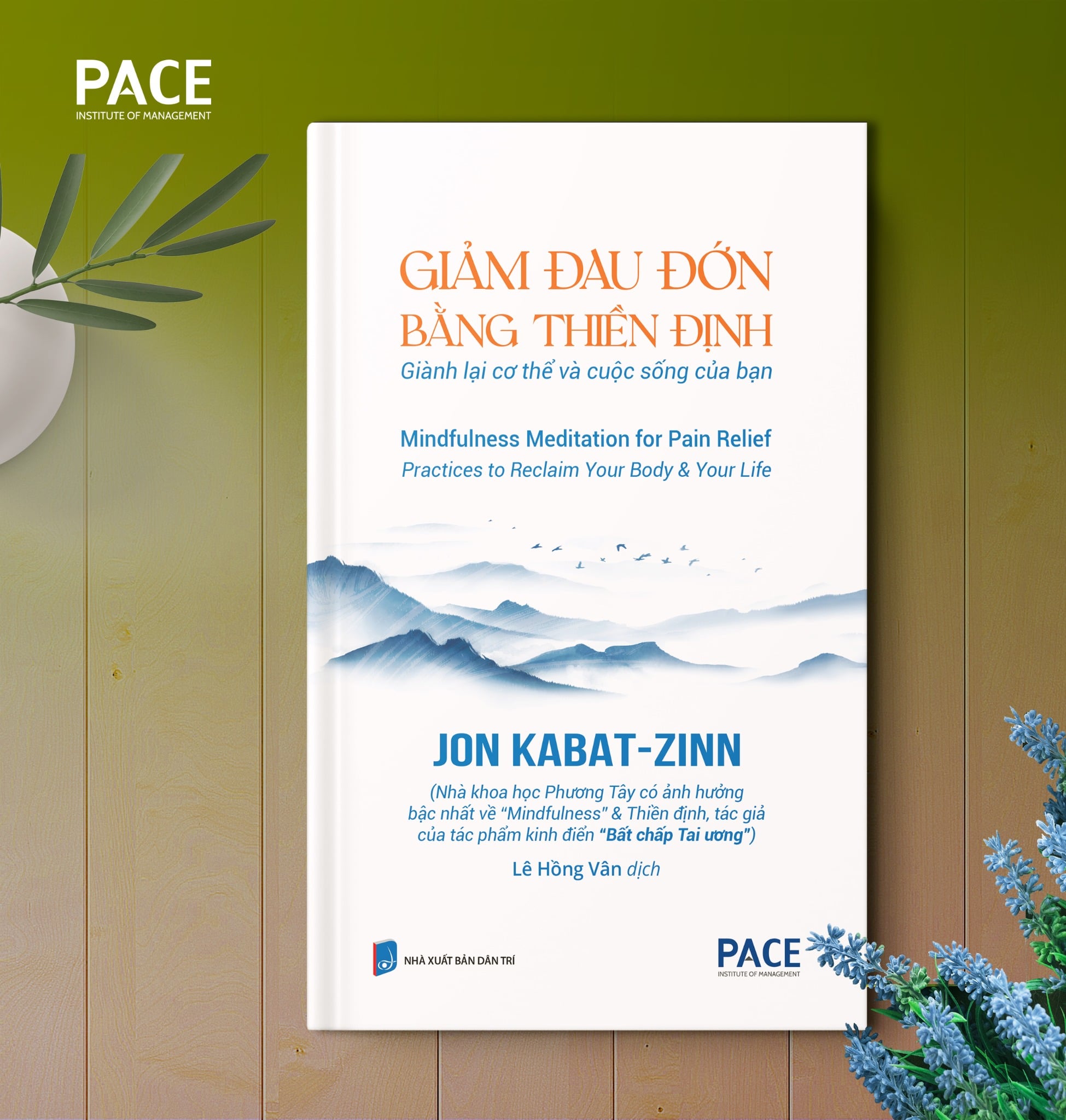 Giảm Đau Đớn Bằng Thiền Định - Mindfulness Meditation For Pain Relief - Jon Kabat-Zinn